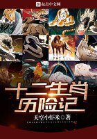 穿越成為十二生肖的日子