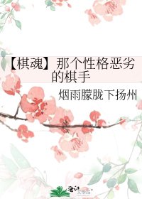 （棋魂同人）【棋魂】那个性格恶劣的棋手